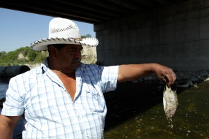 Contaminación del Río Pesquería.